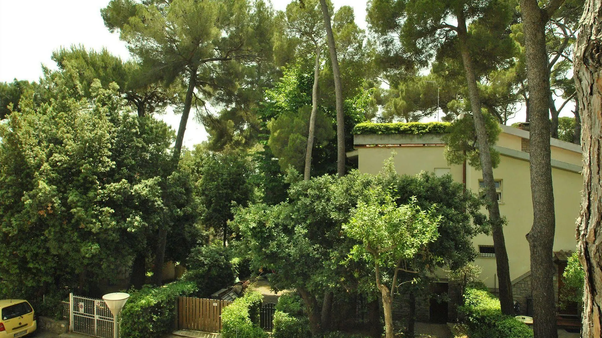 Residenza Venus Lägenhet Castiglioncello